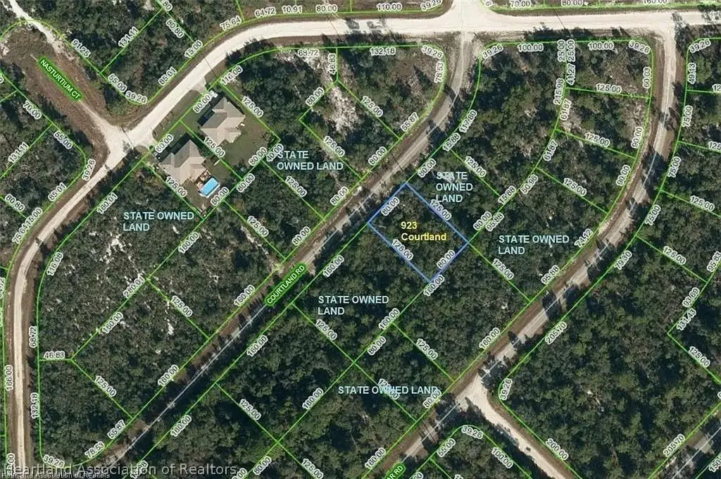 923 Courtland Road, Lake Placid, FL 33852 - #1