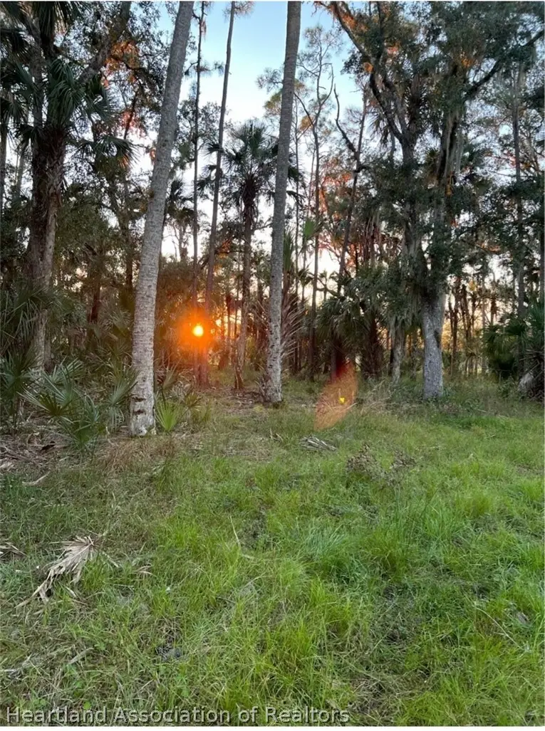 1040 Cracker Hammock, Sebring, FL 33875 - #3