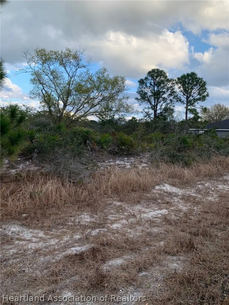 108 Chippewa Avenue, Lake Placid, FL 33852 - #1