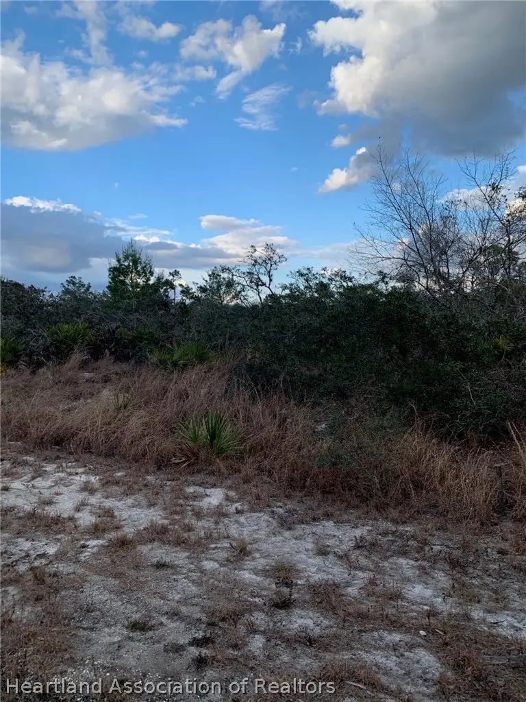 108 Chippewa Avenue, Lake Placid, FL 33852 - #3