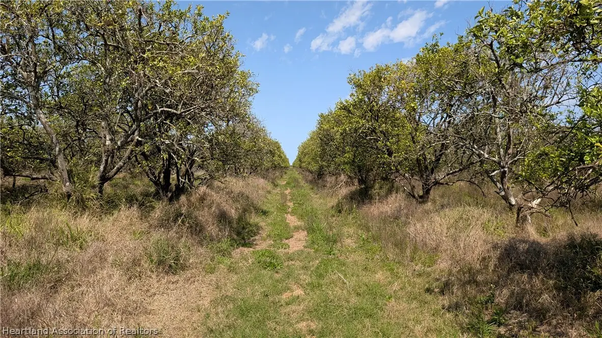 Mineral Branch Road, Zolfo Springs, FL 33890 - #1