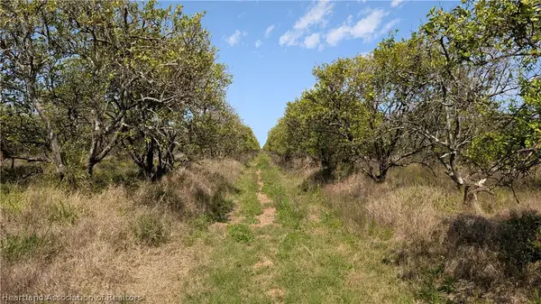 Mineral Branch Road, Zolfo Springs, FL 33890