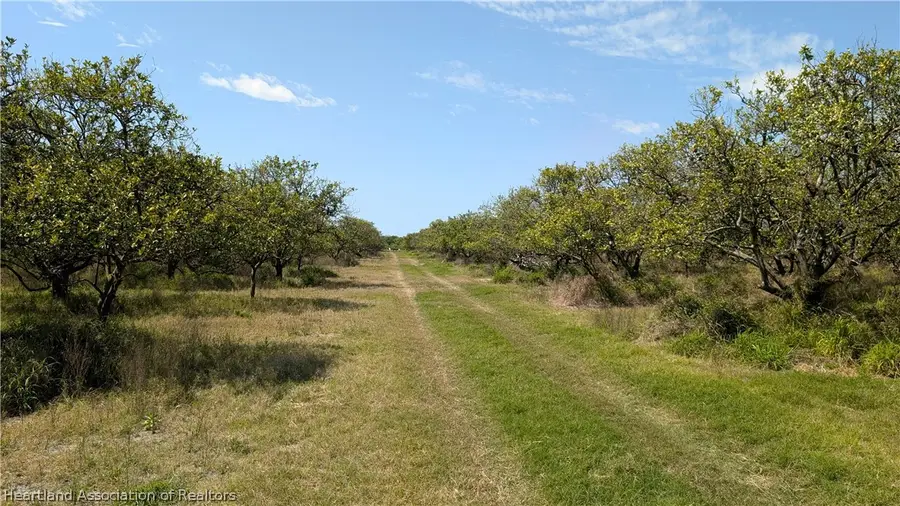 Mineral Branch Road, Zolfo Springs, FL 33890 - #2