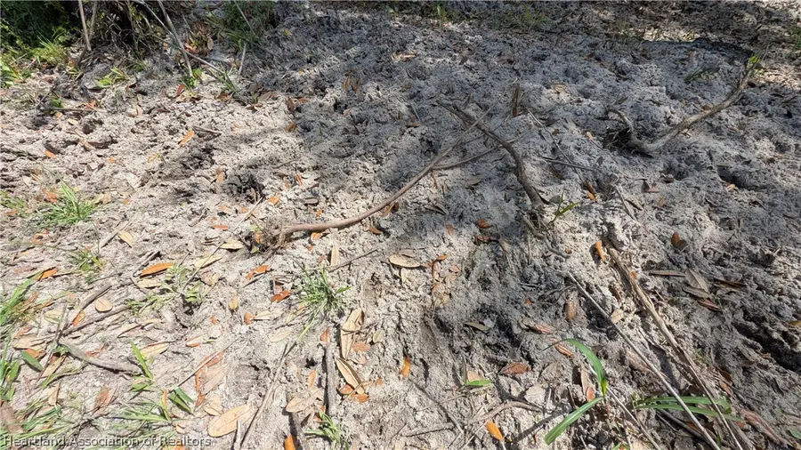 Mineral Branch Road, Zolfo Springs, FL 33890 - #3