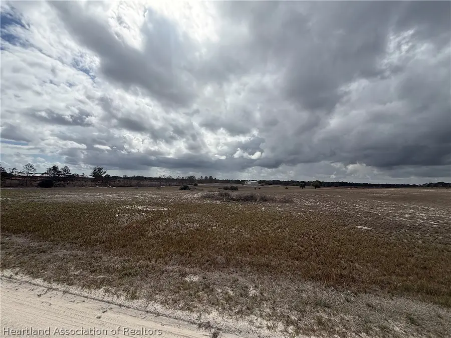 1/2 Lot 12B Ben Hill Griffin Road, Venus, FL 33960 - #3