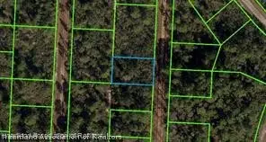 718 Neale Street, Lake Placid, FL 33852 - #1