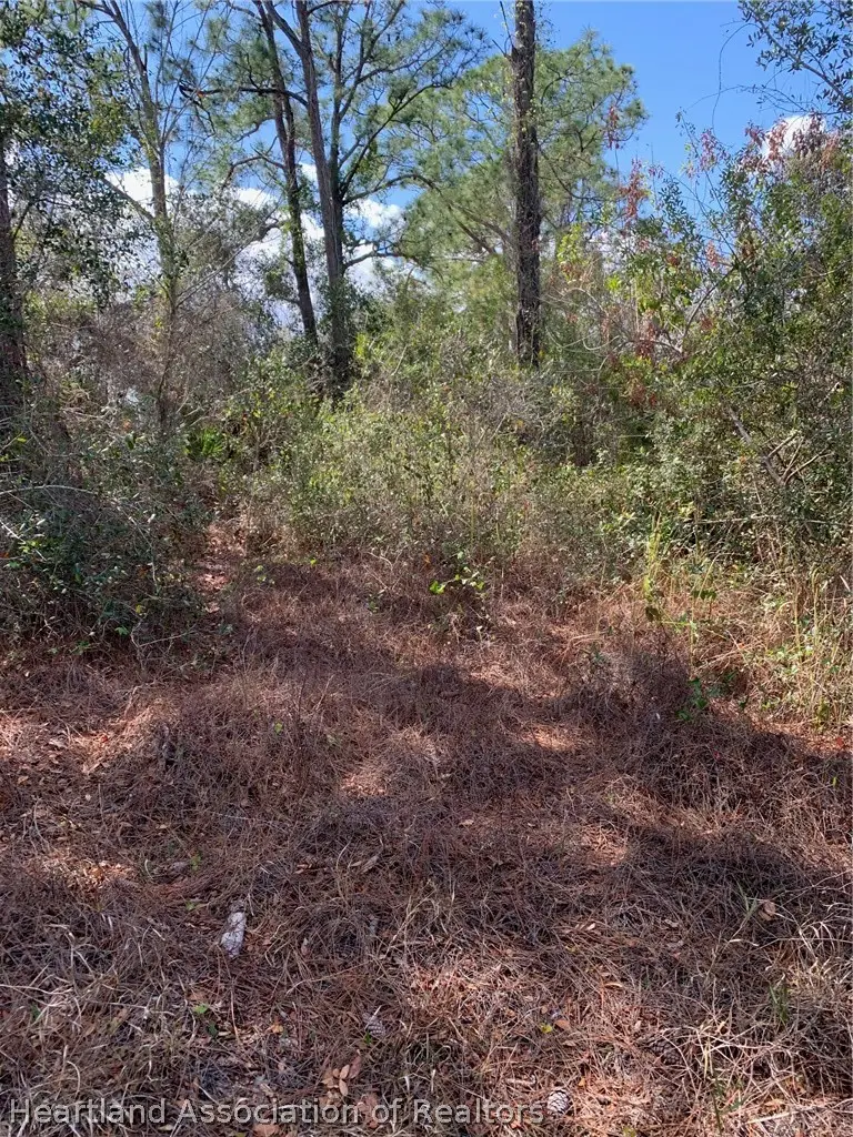 223 E Canal Way Ne, Lake Placid, FL 33852 - #1