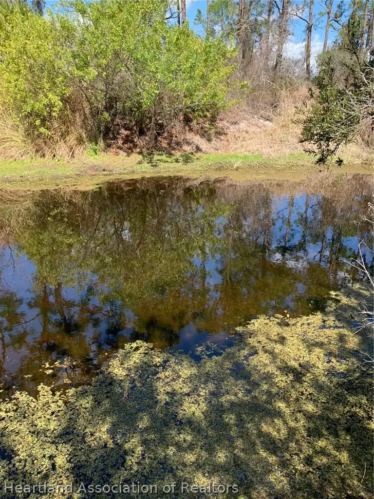 223 E Canal Way Ne, Lake Placid, FL 33852 - #2