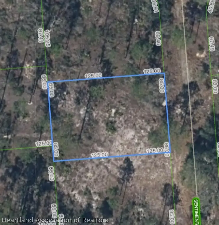 272 Sentimental Drive, Lake Placid, FL 33852 - #1