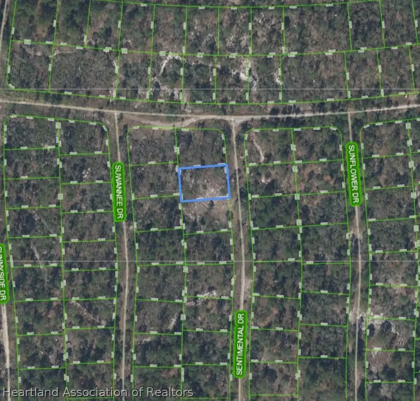 272 Sentimental Drive, Lake Placid, FL 33852 - #3