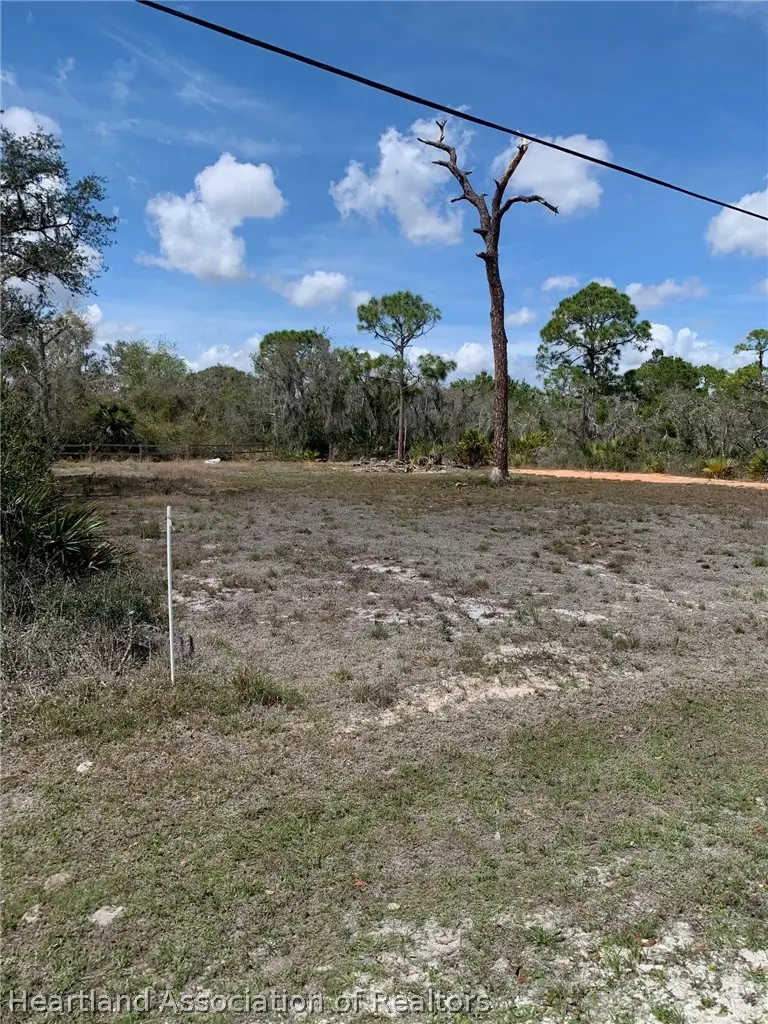 1046 Chestnut Street, Lake Placid, FL 33852 - #1