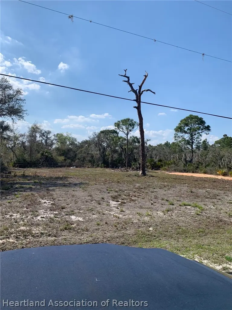 1046 Chestnut Street, Lake Placid, FL 33852 - #2