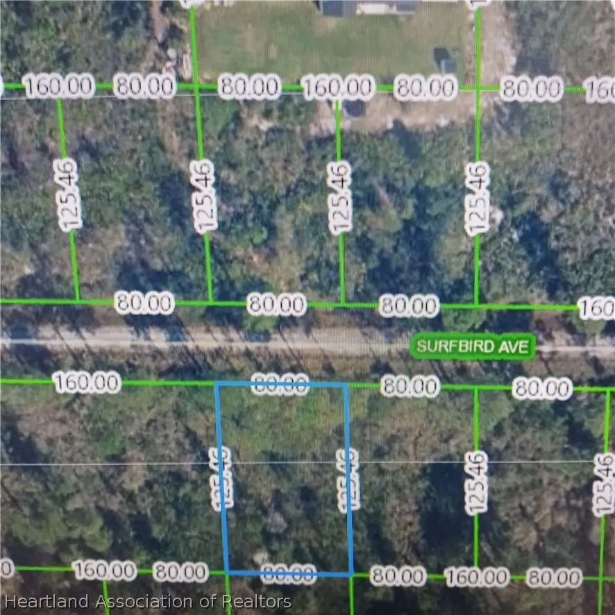 3212 Surbird Avenue, Lake Placid, FL 33852 - #1