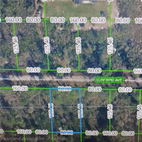 3212 Surbird Avenue, Lake Placid, FL 33852