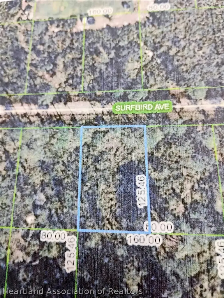 3212 Surbird Avenue, Lake Placid, FL 33852 - #2