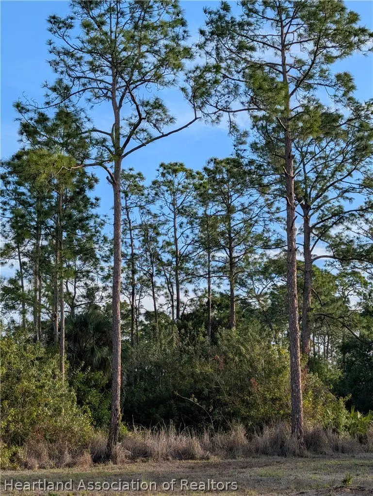 1311 Lincoln Avenue, Lehigh Acres, FL 33792 - #2