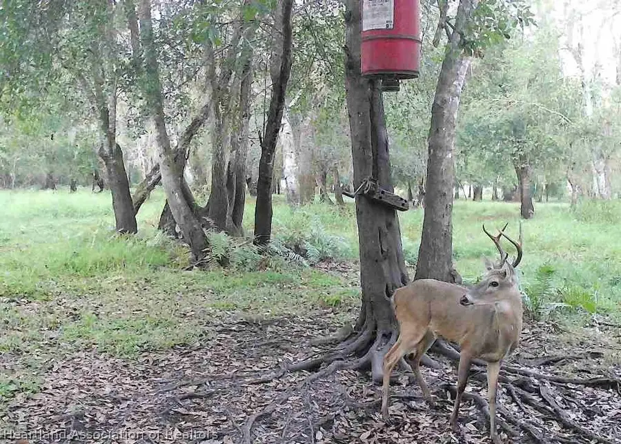 1042 Arbuckle Branch Road, Sebring, FL 33870 - #3