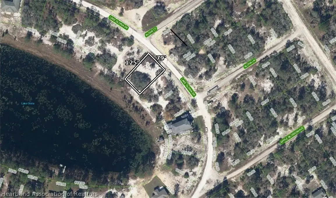 454 Lake Gloria Drive, Lake Placid, FL 33852 - #1