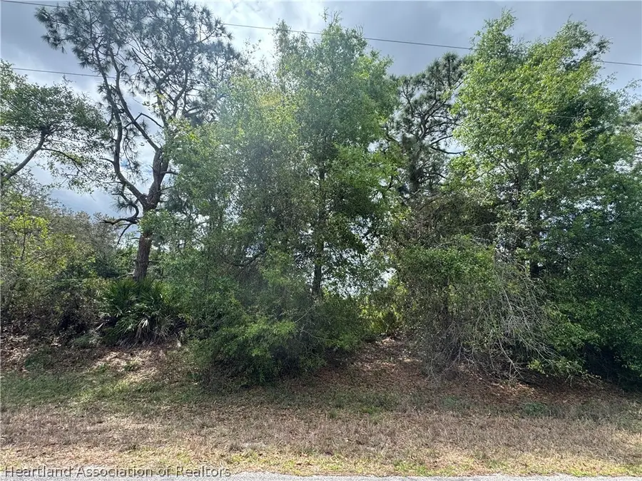 3158 Locust Avenue, Lake Placid, FL 33852 - #2