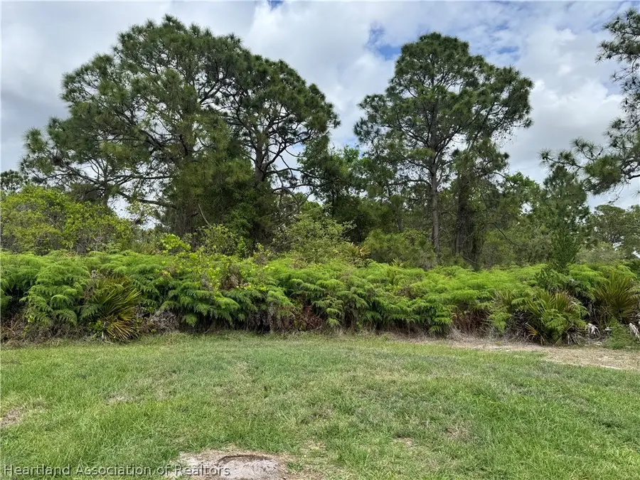 3158 Locust Avenue, Lake Placid, FL 33852 - #3