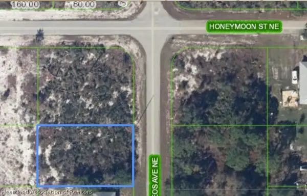 439 Keos Avenue Ne, Lake Placid, FL 33852