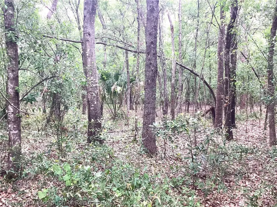 9232 Saddle Path, Sebring, FL 33875 - #3