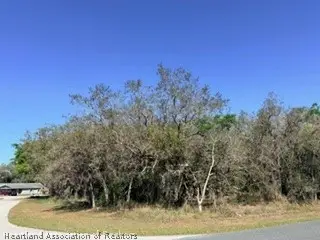 1901 N Berkley Road, Avon Park, FL 33825 - #2