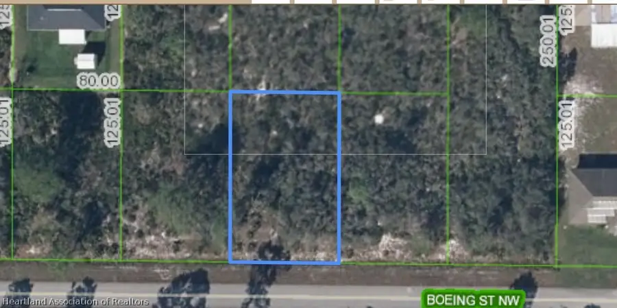 113 Boeing Street Nw, Lake Placid, FL 33852 - #3