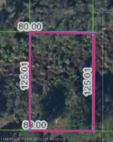 225 Comamche Street Nw, Lake Placid, FL 33852 - #1