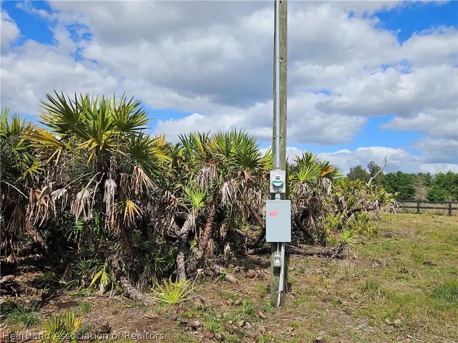 2001 Maine Coon Street, Venus, FL 33960 - #3