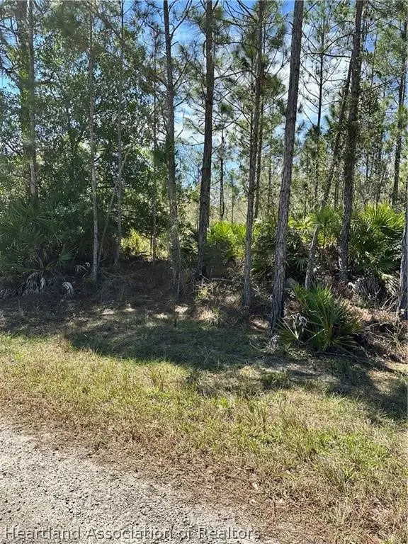 428 Barclay Street, Lake Placid, FL 33852 - #1