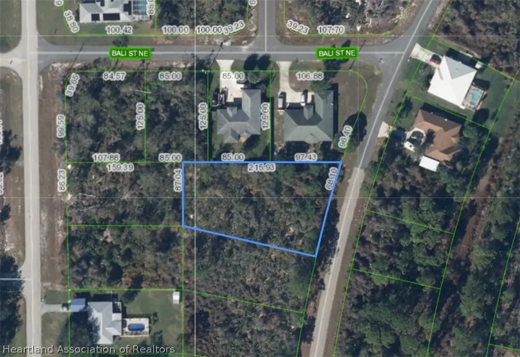 221 Barbados Drive Ne, Lake Placid, FL 33852 - #1