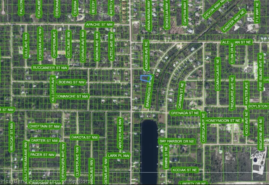 221 Barbados Drive Ne, Lake Placid, FL 33852 - #3