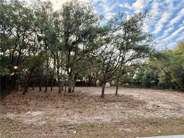 2973 N Bowden Road, Avon Park, FL 33825