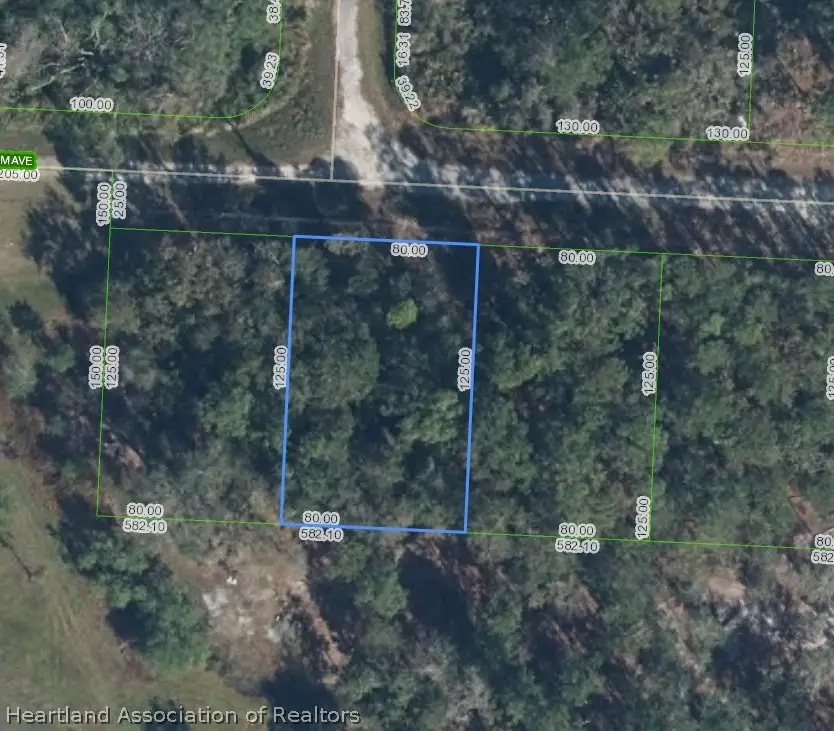 3110 Salem Avenue, Lake Placid, FL 33852 - #1