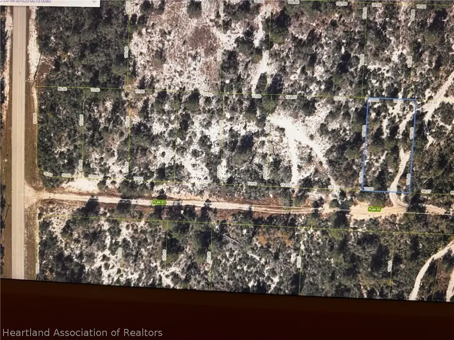 1014 S Magnolia Avenue, Lake Placid, FL 33852 - #2