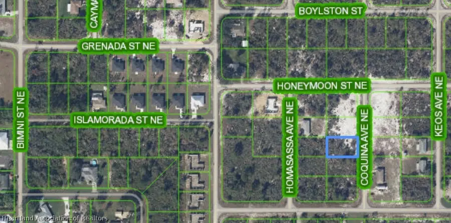 328 Coquina Avenue Ne, Lake Placid, FL 33852 - #2