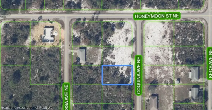 328 Coquina Avenue Ne, Lake Placid, FL 33852 - #3