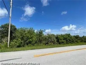 230 Hallmark Avenue, Lake Placid, FL 33852 - #2