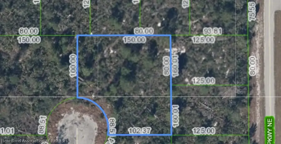 117 Lanai Court Ne, Lake Placid, FL 33852 - #3