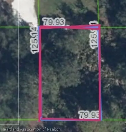 107 Edenwald Avenue Nw, Lake Placid, FL 33852 - #1