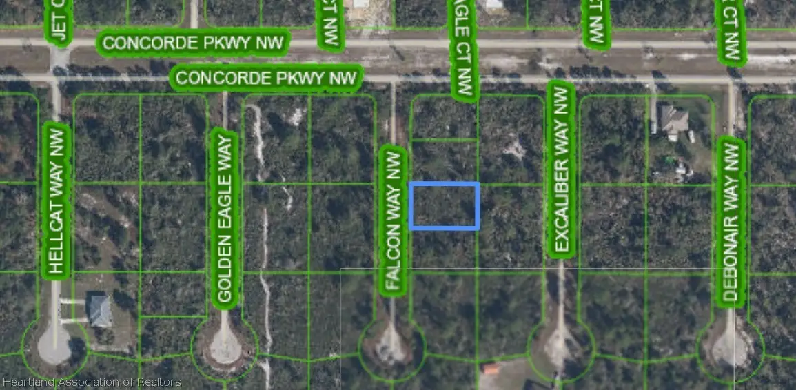 206 Falcon Way Nw, Lake Placid, FL 33852 - #1