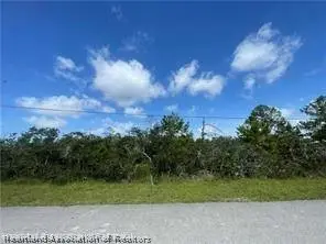 1060 Breckinridge Avenue, Lake Placid, FL 33852 - #1