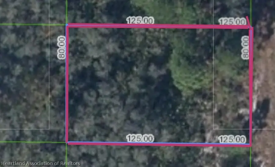 871 Bonanza Avenue Nw, Lake Placid, FL 33852 - #2