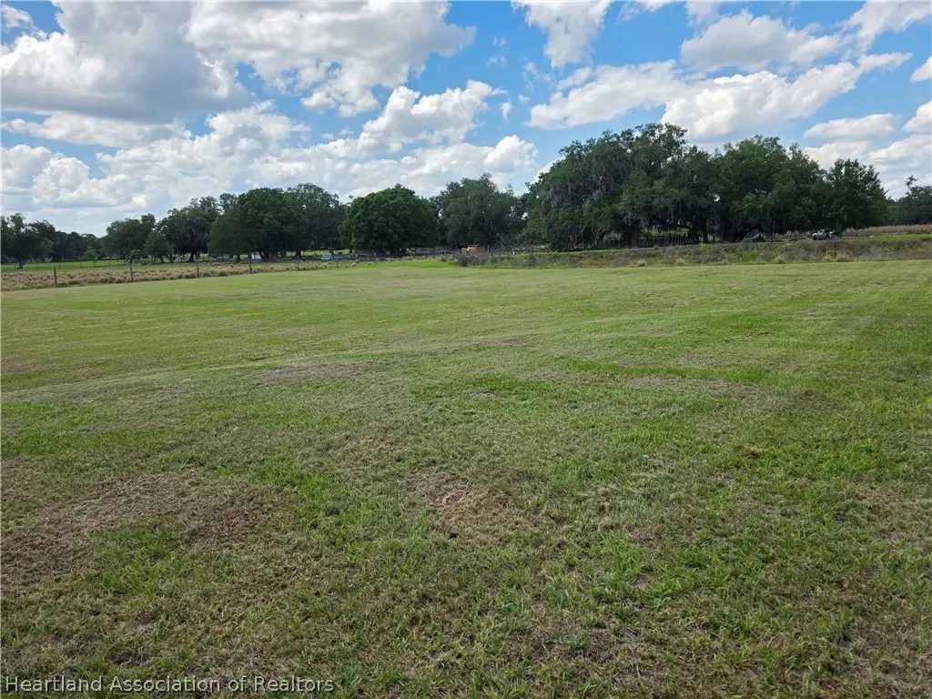 0 Steven Roberts Special Road, Zolfo Springs, FL 33890 - #1