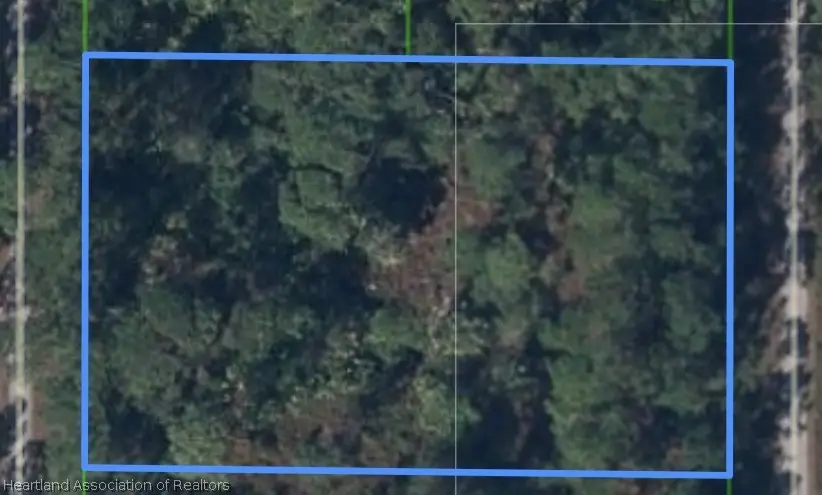 635 Bonanza Avenue Nw, Lake Placid, FL 33852 - #2