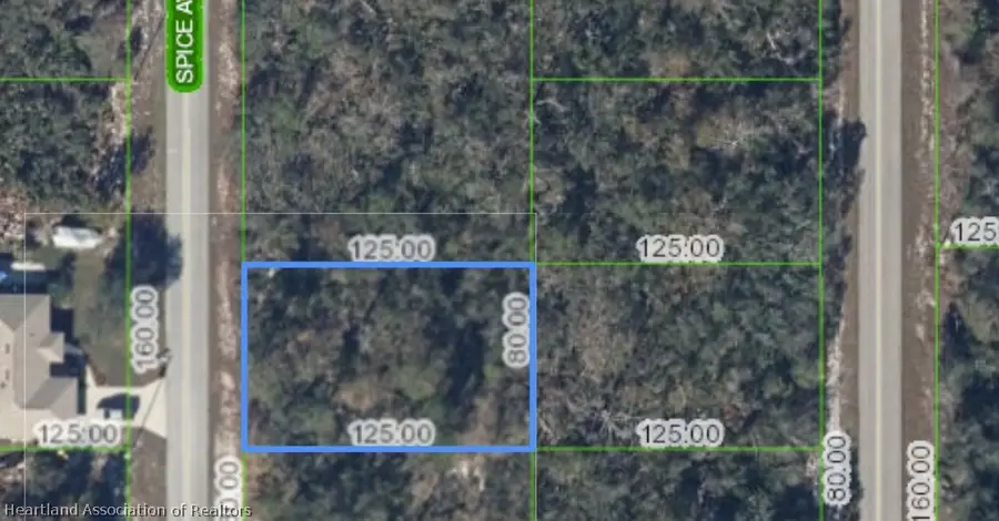 220 Spice Avenue Ne, Lake Placid, FL 33852 - #2