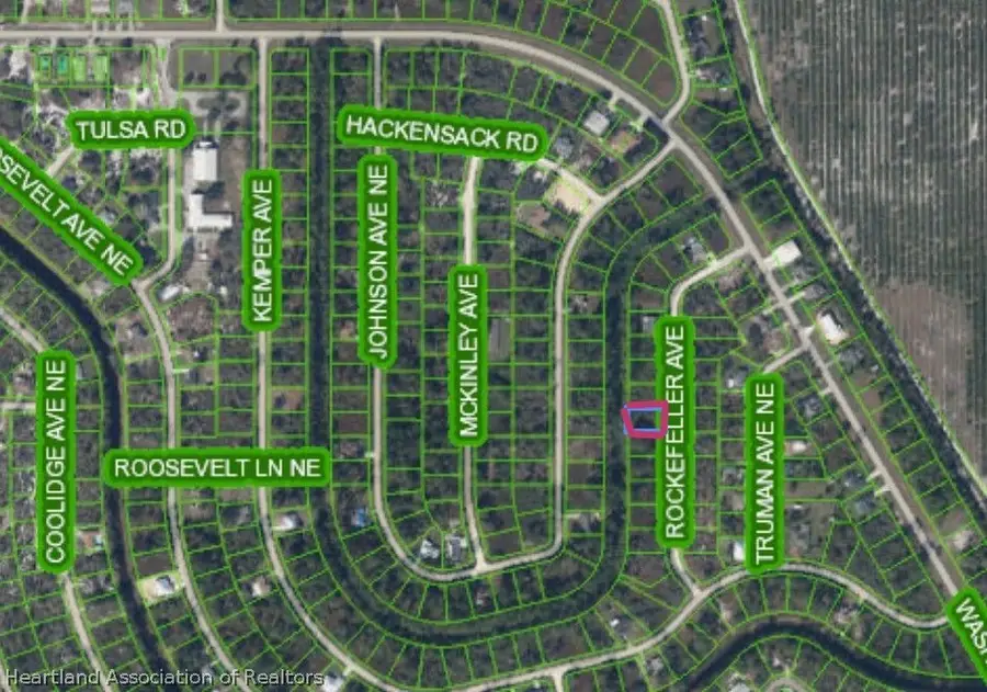 519 Rockefeller Avenue, Lake Placid, FL 33852 - #3