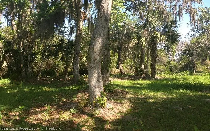 2061 Jack Creek Drive, Lake Placid, FL 33852 - #2