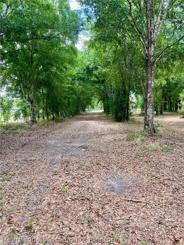 1298 Old Bradenton Road, Wauchula, FL 33873